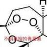 苦学酬身世