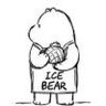 ICEBEAR9